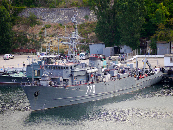 Seagoing Minesweeper Valentin Pikul, Black Sea Fleet