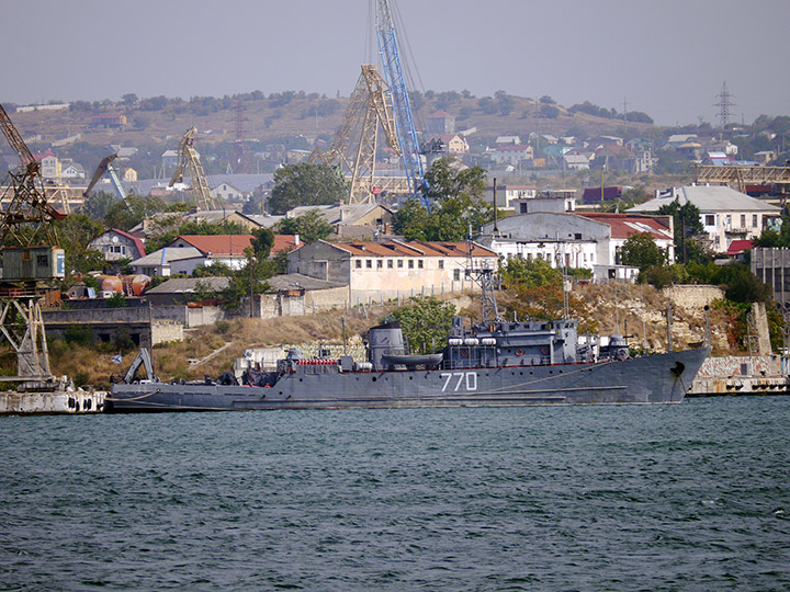 Seagoing Minesweeper Valentin Pikul, Black Sea Fleet