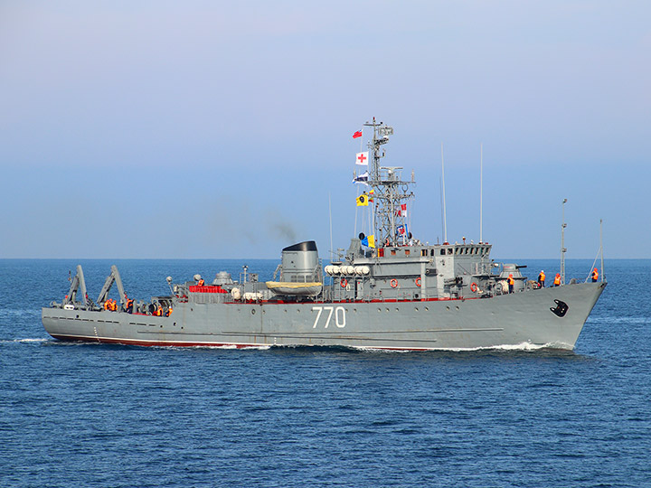 Seagoing Minesweeper Valentin Pikul, Black Sea Fleet