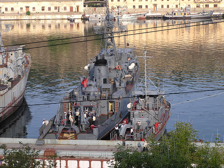 Seagoing Minesweeper Vice-admiral Zhukov, Black Sea Fleet