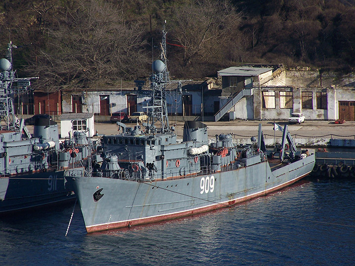 Seagoing Minesweeper Vice-admiral Zhukov, Black Sea Fleet