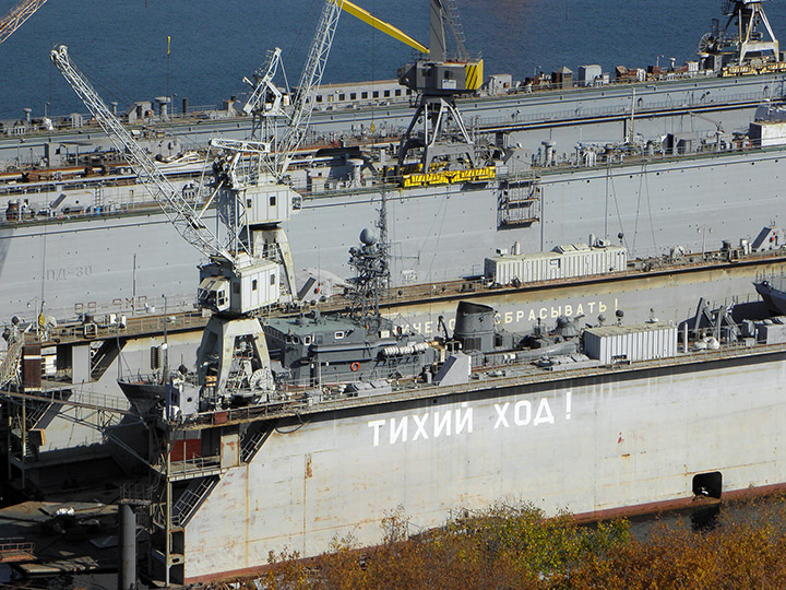 Seagoing Minesweeper Vice-admiral Zhukov, Black Sea Fleet