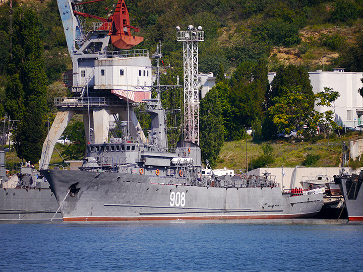 Seagoing Minesweeper Vice-Admiral Zakharyin, Black Sea Fleet