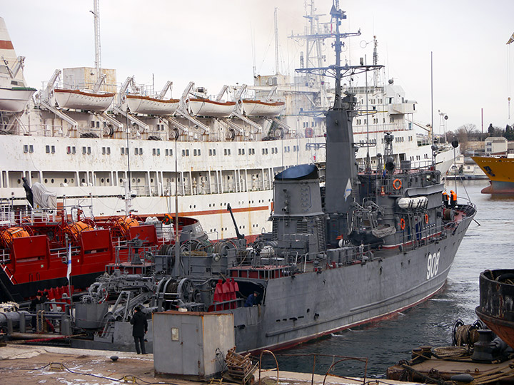 Seagoing Minesweeper Vice-Admiral Zakharyin, Black Sea Fleet