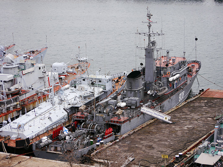 Seagoing Minesweeper Vice-Admiral Zakharyin, Black Sea Fleet