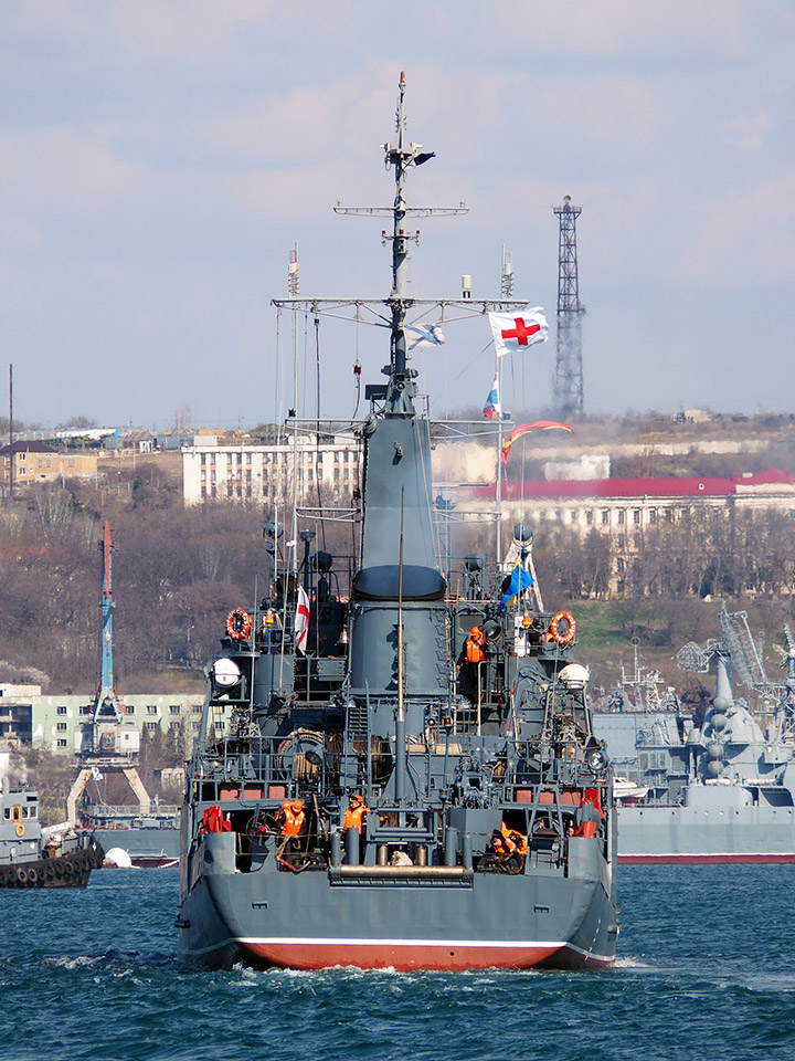 Seagoing Minesweeper Vice-Admiral Zakharyin, Black Sea Fleet