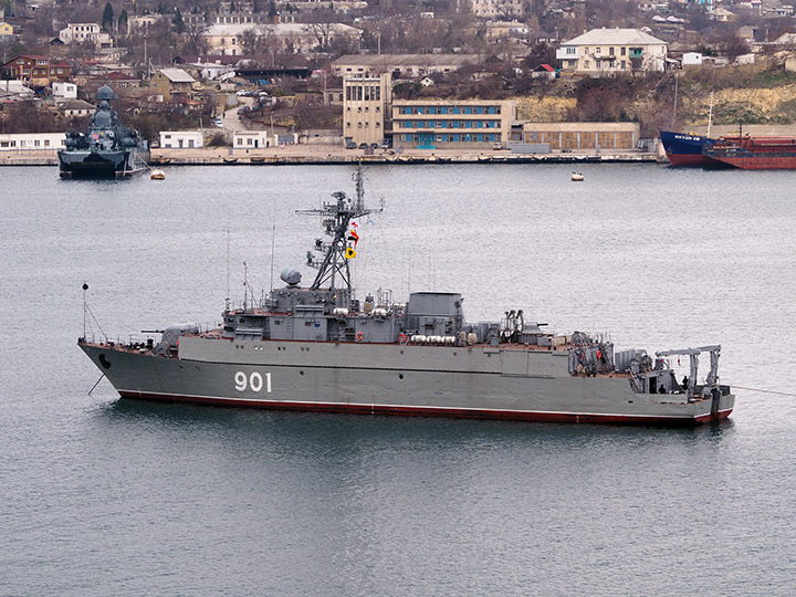 Seagoing Minesweeper Ivan Zheleznyakov, Black Sea Fleet