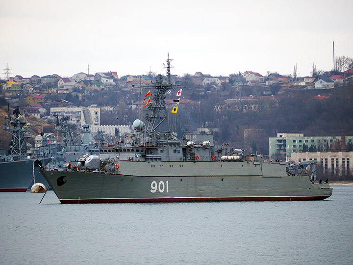 Seagoing Minesweeper Ivan Zheleznyakov, Black Sea Fleet