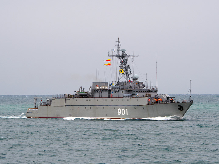 Seagoing Minesweeper Ivan Zheleznyakov, Black Sea Fleet