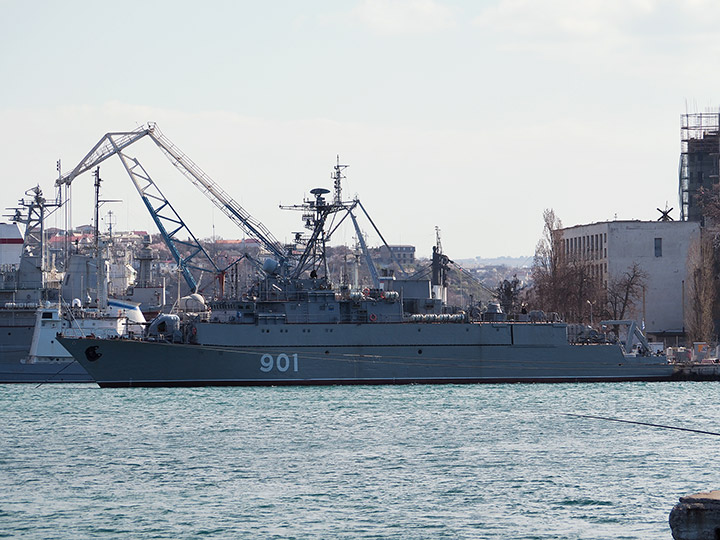 Seagoing Minesweeper Ivan Zheleznyakov, Black Sea Fleet