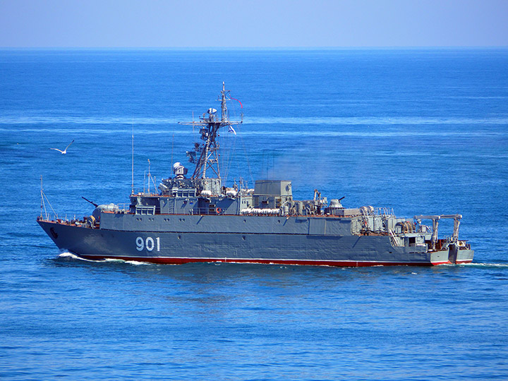 Seagoing Minesweeper Ivan Zheleznyakov, Black Sea Fleet