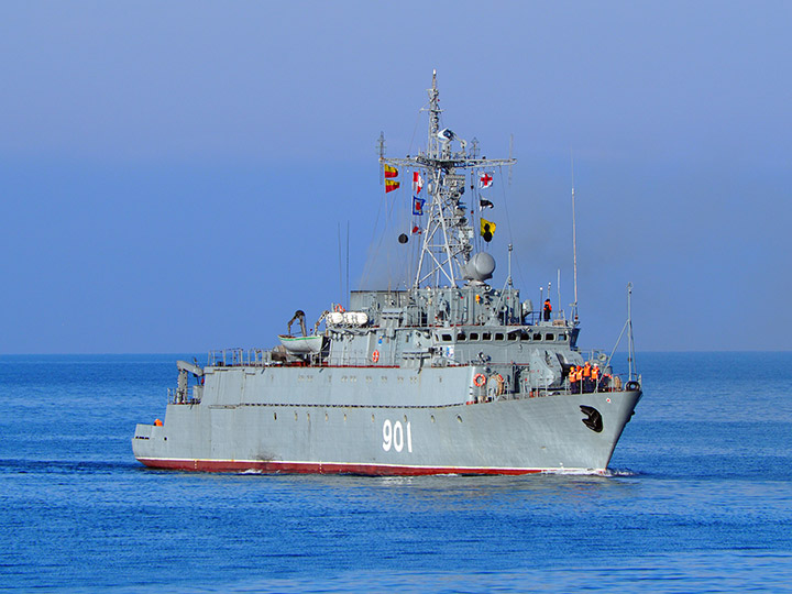 Seagoing Minesweeper Ivan Zheleznyakov, Black Sea Fleet