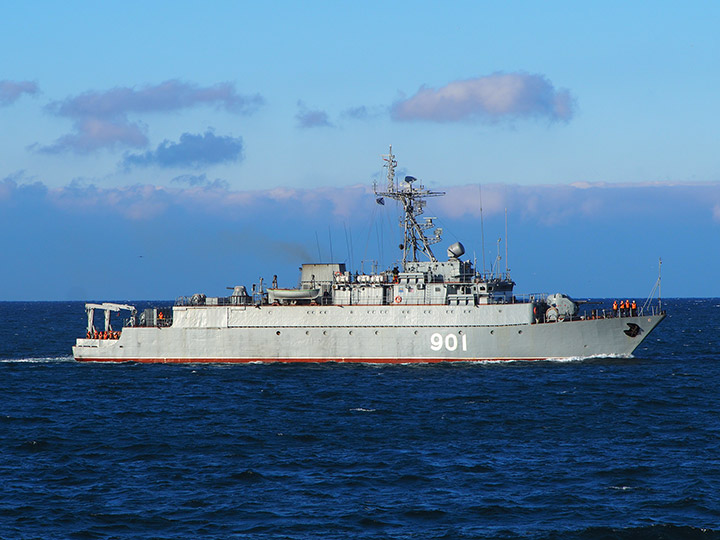 Seagoing Minesweeper Ivan Zheleznyakov, Black Sea Fleet