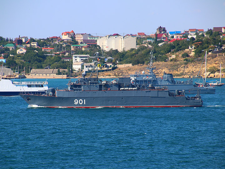 Seagoing Minesweeper Ivan Zheleznyakov, Black Sea Fleet