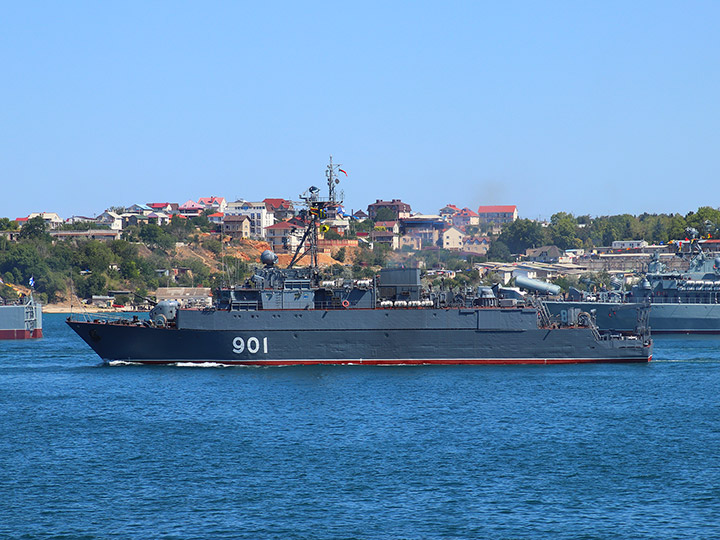 Seagoing Minesweeper Ivan Zheleznyakov, Black Sea Fleet