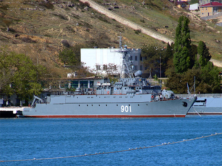 Seagoing Minesweeper Ivan Zheleznyakov, Black Sea Fleet