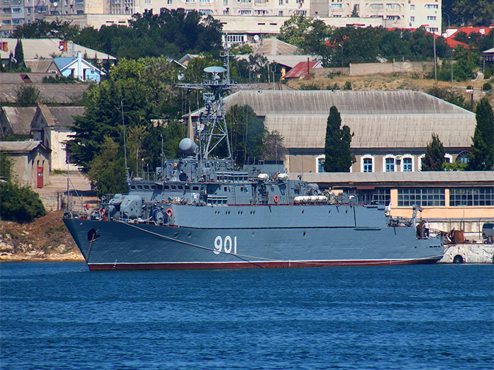 Seagoing Minesweeper Ivan Zheleznyakov, Black Sea Fleet